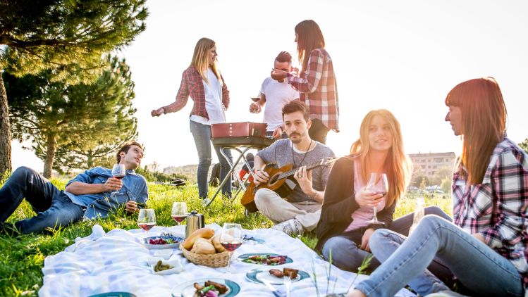 quillayes-momentos-picnic