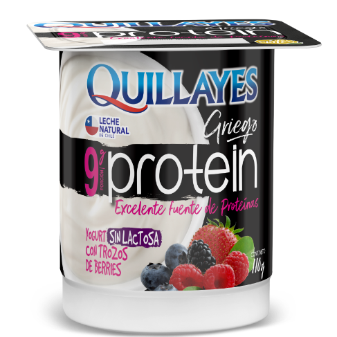 QY076 Yogurt  Protein Berries 110 gr