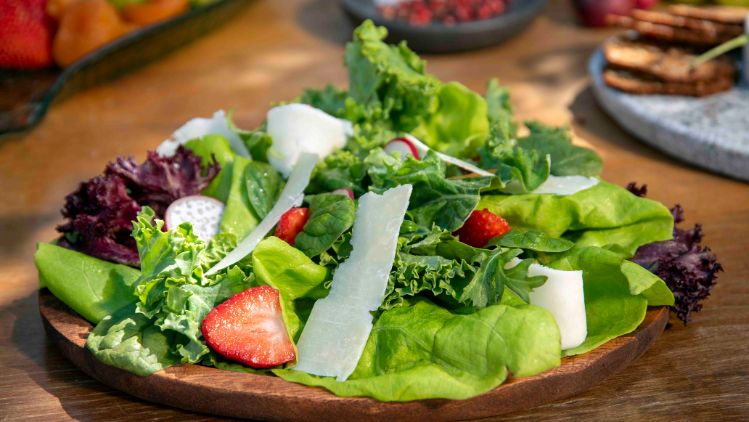 quillayes-recetas-ENSALADA-DE-HOJAS-VERDES-CON-PARMESANO-Y-CABRA-QUILLAYES