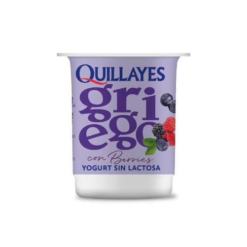 Yogurt Ggo Berries SL 
