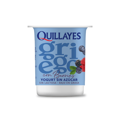 Yogurt Griego Berries 110gr