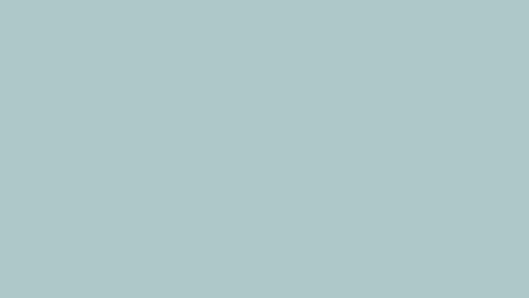 quillayes-quesos-especiales_background